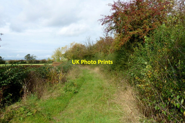 Photo 6"x4" Bridleway to Fiddington Fiddington\/SO9230 c2014