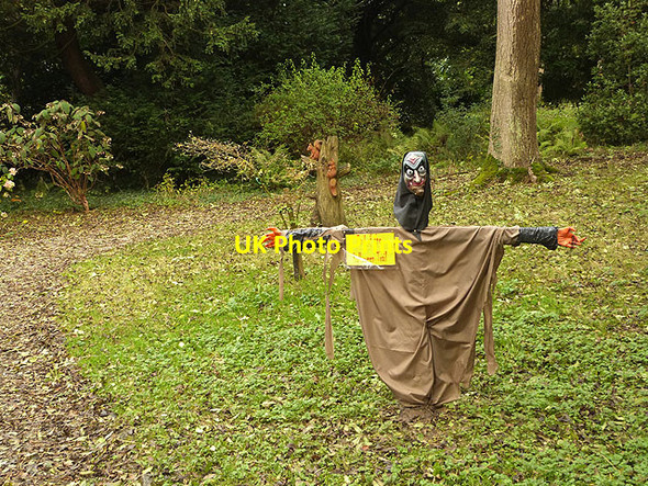 Photo 6"x4" End of the Hallowe'en Trail, Thorp Perrow Firby\/SE2686 c2014