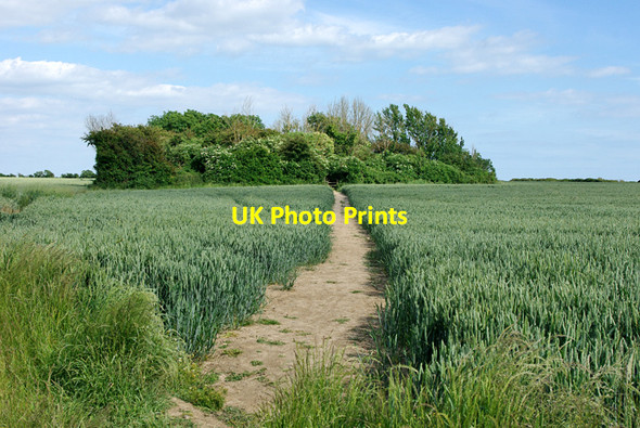 Photo 6"x4" Footpath 174, Climping Littlehampton c2010