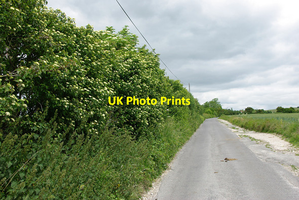 Photo 6"x4" Longfurlong Lane Clapham\/TQ0906 c2010