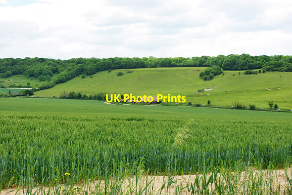 Photo 6"x4" Longfurlong Barn Clapham\/TQ0906 c2010