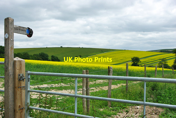 Photo 6"x4" Bridleway 2091 leaves Longfurlong Lane Clapham\/TQ0906 c2010
