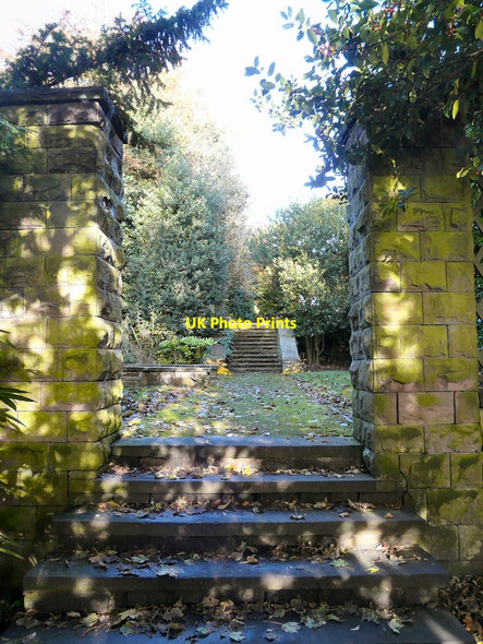 Photo 6"x4" Autumn Shadows at Pole Bank Hyde\/SJ9494 c2014