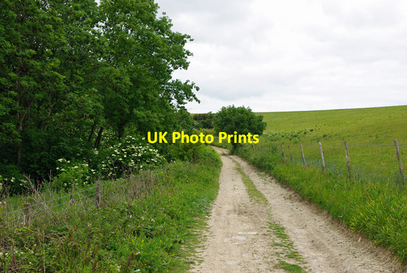 Photo 6"x4" Bridleway 2173 North End\/TQ1109 c2010