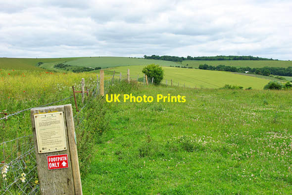 Photo 6"x4" Permissive access, Blackpatch Hill North End\/TQ1109 c2010