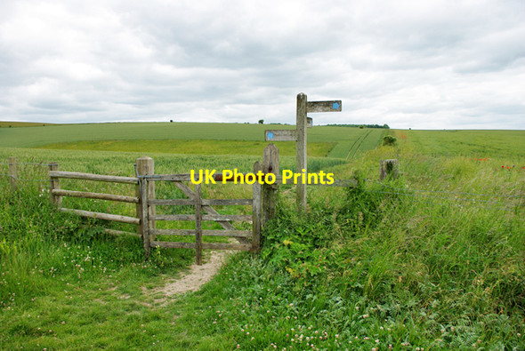 Photo 6"x4" South Downs bridleway junction North End\/TQ1109 c2010