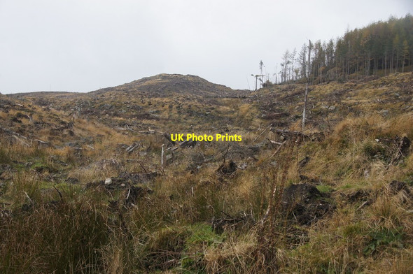 Photo 6"x4" Clearfell on the slopes of Cnoc Eirionnaich, Dalruzion Forest Middleton of Dalrulzian c2014