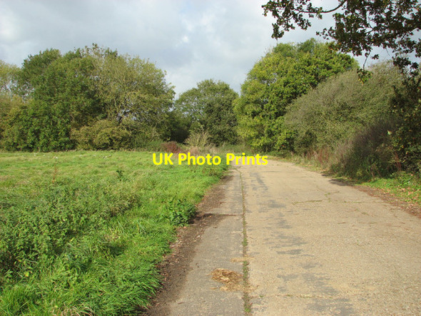 Photo 6"x4" Path on Metfield Common North Green\/TM3076 c2014