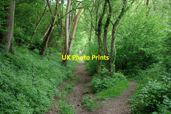 Photo 6"x4" Bridleway 2212 Burpham\/TQ0408 c2010