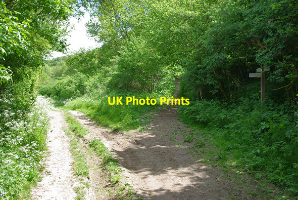 Photo 6"x4" Bridleway junction by Wepham Woods Burpham\/TQ0408 c2010