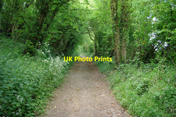 Photo 6"x4" Bridleway 2221 Burpham\/TQ0408 c2010