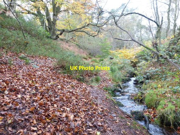 Photo 6"x4" Bentley Brook Slack\/SK3362 c2014