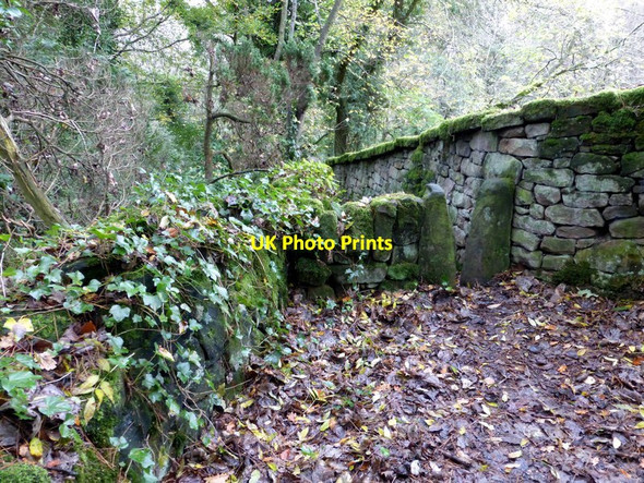 Photo 6"x4" Squeeze stile in Holt Wood Two Dales c2014