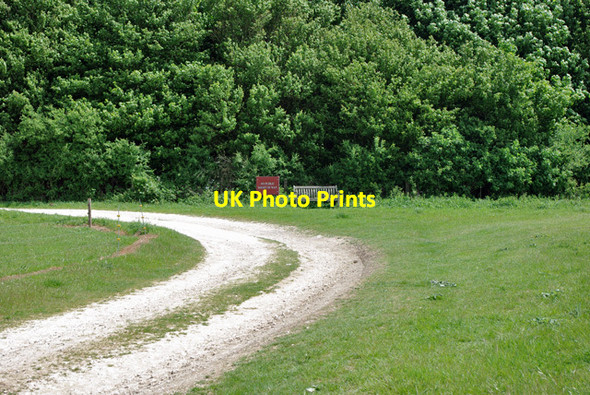Photo 6"x4" Seat by Norfolk Clump Burpham\/TQ0408 c2010