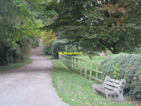 Photo 6"x4" Mill Lane West Brough\/SE9326 c2014