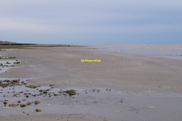 Photo 6"x4" Grey day at West Kingston Kingston Gorse c2014