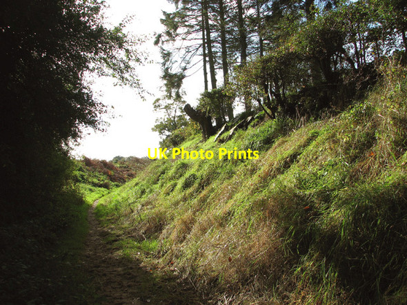 Photo 6"x4" View south along Wash Lane Saxlingham Nethergate c2014