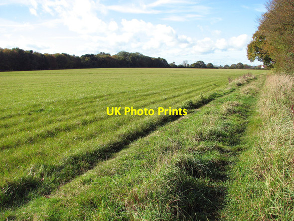 Photo 6"x4" Fields south of Green Lane Saxlingham Nethergate c2014