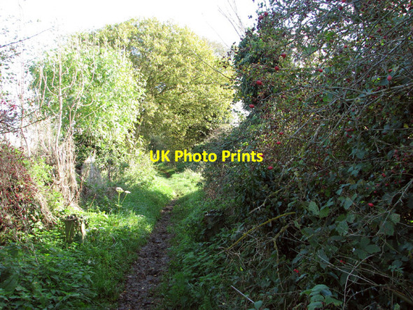 Photo 6"x4" To Wash Lane on Green Lane Saxlingham Nethergate c2014