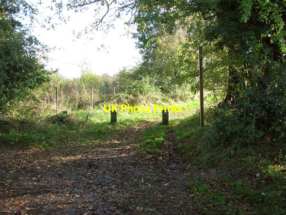 Photo 6"x4" Bridleway off Windy Lane Saxlingham Nethergate c2014