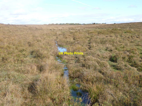 Photo 6"x4" Bramshaw, Black Gutter Fritham c2014