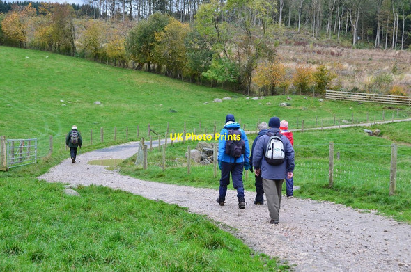 Photo 6"x4" Track near Reagill Grange Reagill c2014
