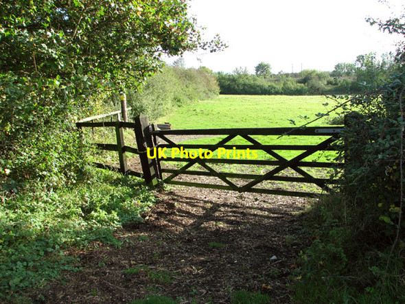 Photo 6"x4" Gate into a pasture by Monk's Farm Newton Flotman c2014