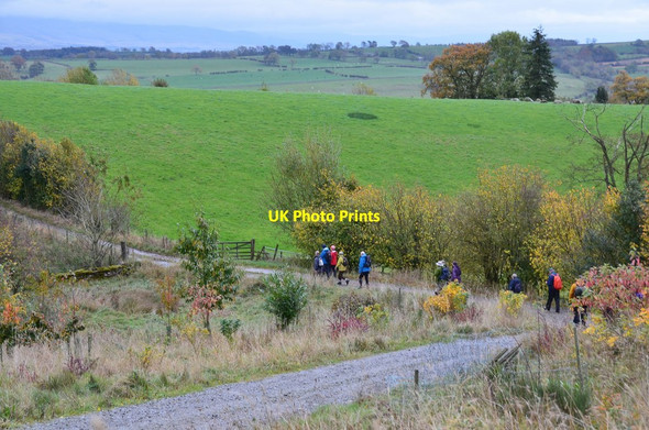 Photo 6"x4" Track near Reagill Reagill c2014