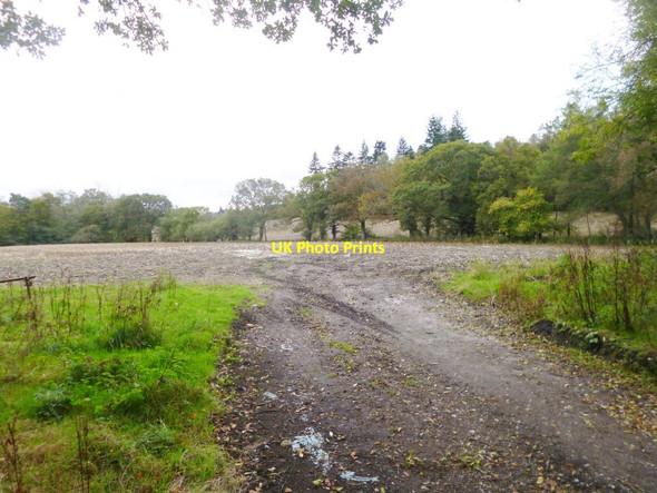 Photo 6"x4" Nomansland, stubble field Nomansland\/SU2517 c2014