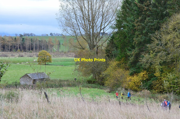 Photo 6"x4" Path to Maulds Meaburn Reagill c2014