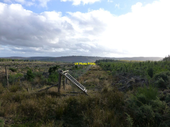 Photo 6"x4" Fire-break between forest sections Thrunton c2014