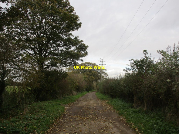 Photo 6"x4" Denton Lane Hotham c2014