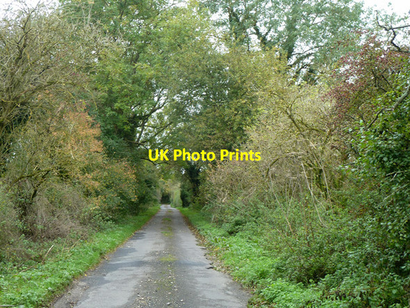 Photo 6"x4" Lane near Cole Henley Farm Cole Henley c2014