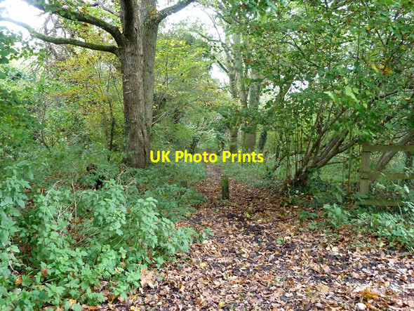 Photo 6"x4" Public footpath St. Mary Bourne 4 Sladen Green c2014