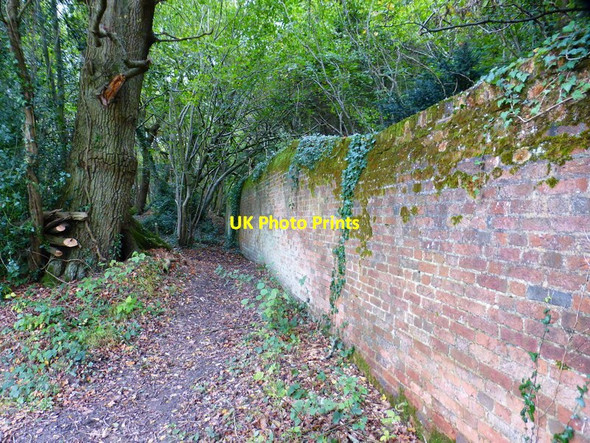 Photo 6"x4" Footpath enters Place Wood Southwick\/SU6208 c2014