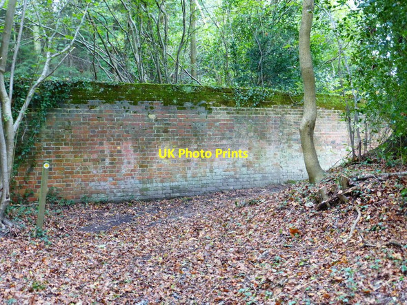 Photo 6"x4" Footpath leaves Place Wood by estate wall Southwick\/SU6208 c2014