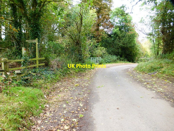Photo 6"x4" Bend on Pitymoor Lane at the junction with the Pilgrims' Trail Southwick\/SU6208 c2014