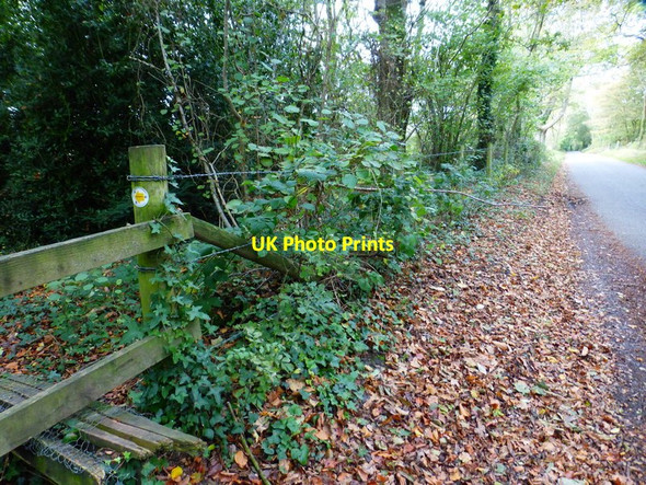 Photo 6"x4" Looking west on Ham Road from footpath stile Boarhunt c2014