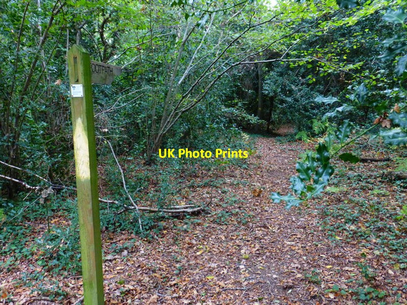 Photo 6"x4" Footpath sign in unnamed wood by Ham Road Boarhunt c2014