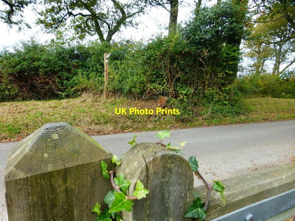 Photo 6"x4" Looking across Ashley Down Lane from footpath Boarhunt c2014