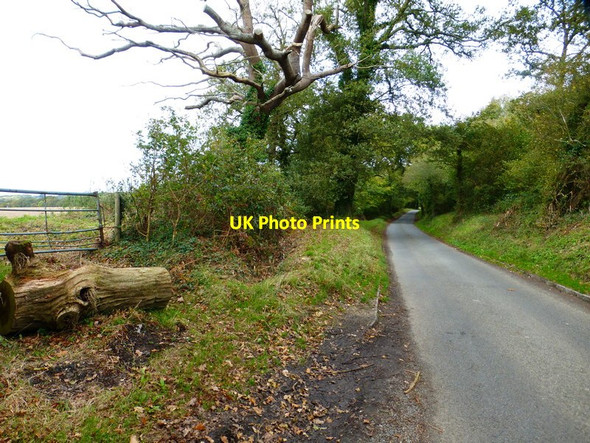 Photo 6"x4" Ashley Down Lane passes blocked field entrance Boarhunt c2014