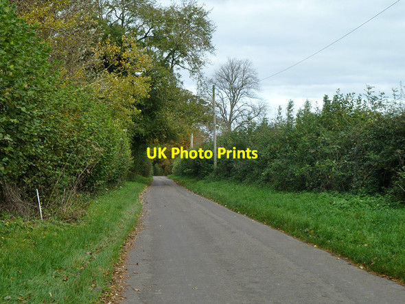 Photo 6"x4" Lane towards East Woodhay East Woodhay c2014