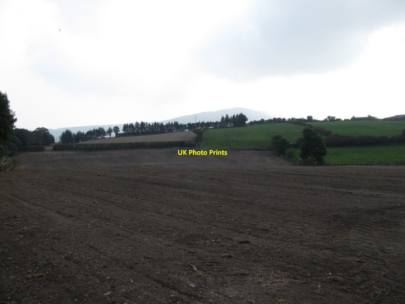 Photo 6"x4" Ploughed land alongside Crooked Road Belleek\/H9827 c2014