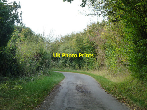 Photo 6"x4" Lane up West Woodhay Down East Woodhay c2014