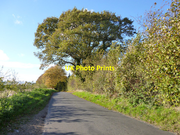 Photo 6"x4" Gipsy Lane Eddington\/SU3469 c2014