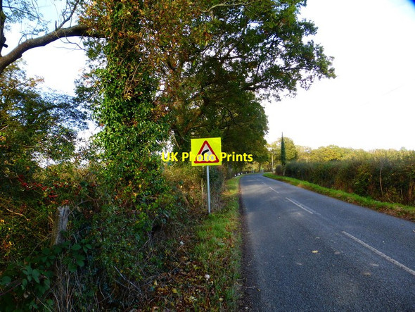 Photo 6"x4" Bend on road north of Creech Farm Furzeley Corner c2014