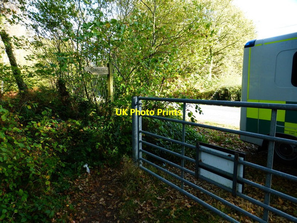 Photo 6"x4" Footpath emerges from Creech Woods at road Furzeley Corner c2014