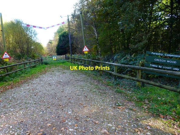 Photo 6"x4" Track into Creech Wood Furzeley Corner c2014