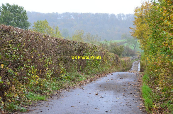 Photo 6"x4" Tarn Lane, Crosby Garrett Crosby Garrett c2014