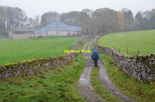 Photo 6"x4" Track to Brownber Brownber\/NY7005 c2014